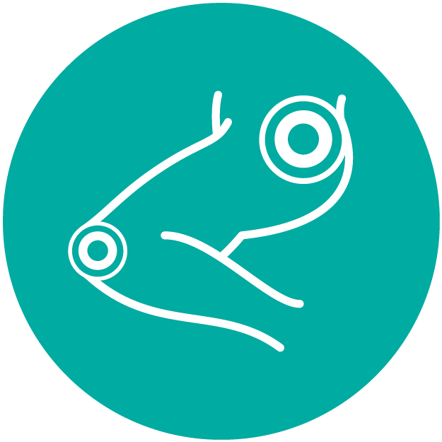 Hip & Knee pain icon